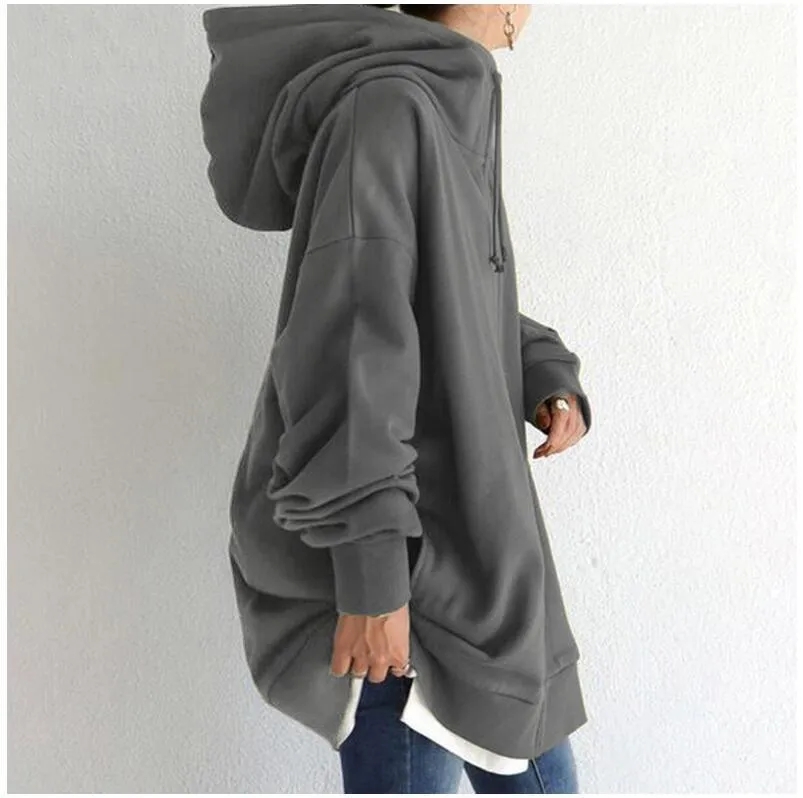 Hood Plus Fleece Zipper Solid Color Sweatshirt Vendors