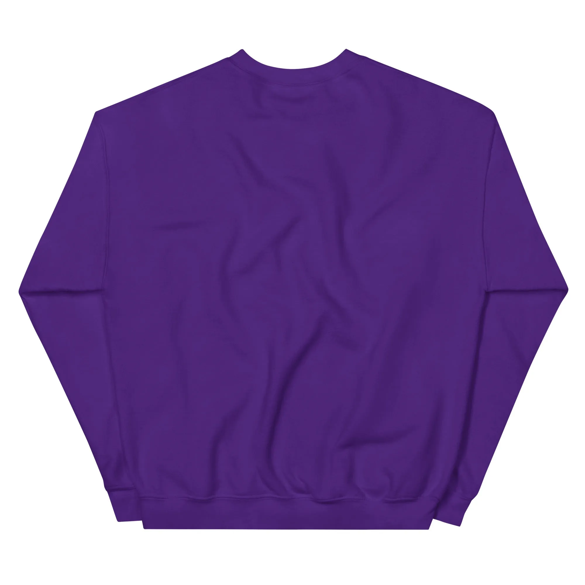 Unisex Sweatshirt - Intellectual Genius